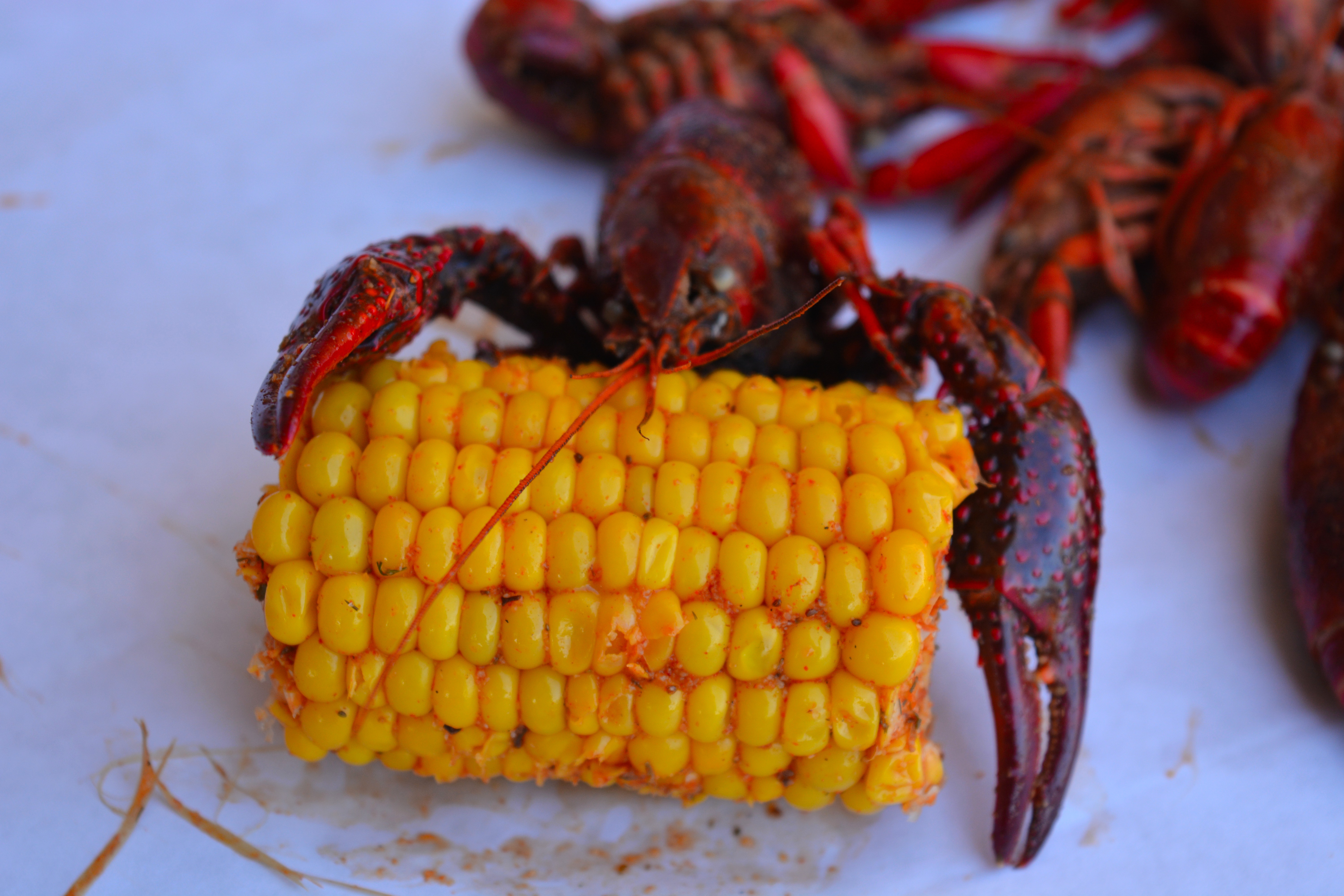 Angry Crab Shack seafood boil ingredients